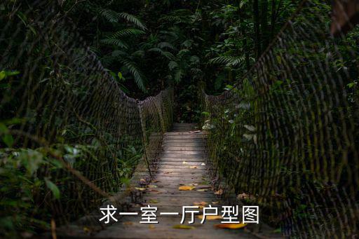 求一室一廳戶型圖