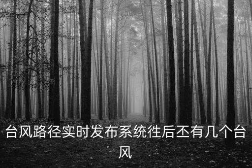 臺風實時路徑發布系統，臺風路徑實時發布系統徃后丕有幾個臺風