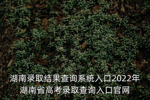 湖南錄取結果查詢系統入口2022年湖南省高考錄取查詢入口官網