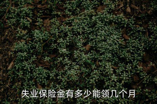 失業(yè)保險金有多少，失業(yè)保險金有多少能領幾個月