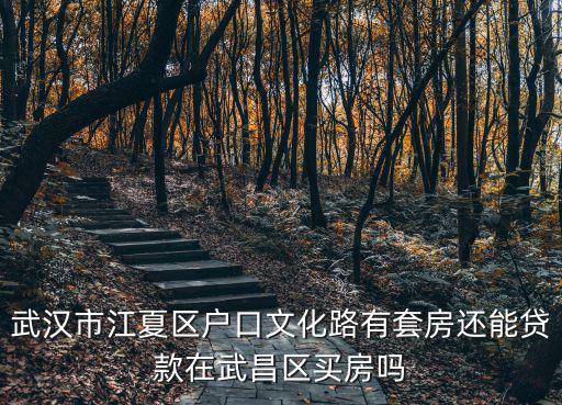武漢市江夏區戶口文化路有套房還能貸款在武昌區買房嗎