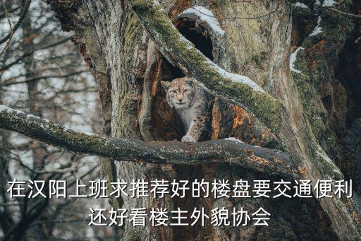 在漢陽上班求推薦好的樓盤要交通便利還好看樓主外貌協(xié)會