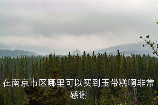 在南京市區哪里可以買到玉帶糕啊非常感謝