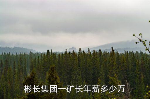 彬長，彬長救援中心待遇如何