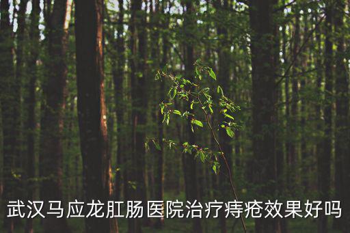 武漢馬應龍肛腸醫院治療痔瘡效果好嗎