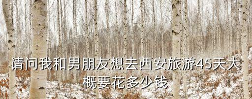 請(qǐng)問(wèn)我和男朋友想去西安旅游45天大概要花多少錢(qián)