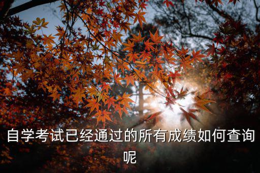 自學考試分數查詢，自學考試已經通過的所有成績如何查詢呢