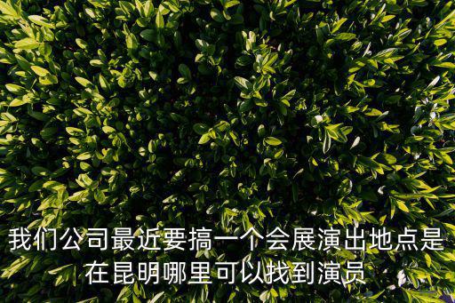我們公司最近要搞一個會展演出地點是在昆明哪里可以找到演員