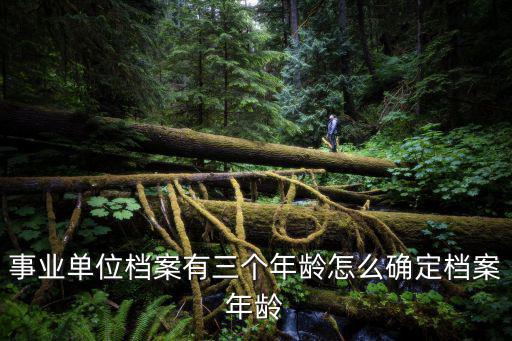 事業單位檔案有三個年齡怎么確定檔案年齡