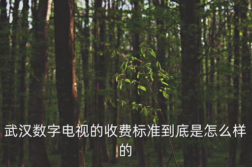 武漢數字電視的收費標準到底是怎么樣的