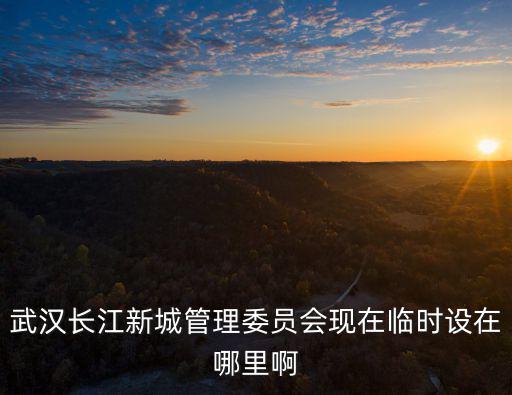 武漢長江新城管理委員會現在臨時設在哪里啊