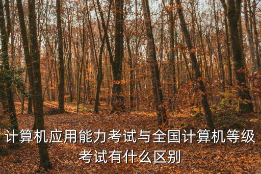 計算機應用能力考試與全國計算機等級考試有什么區別