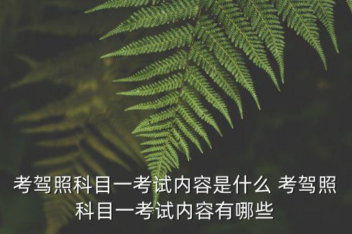 考駕照科目一考試內容是什么 考駕照科目一考試內容有哪些