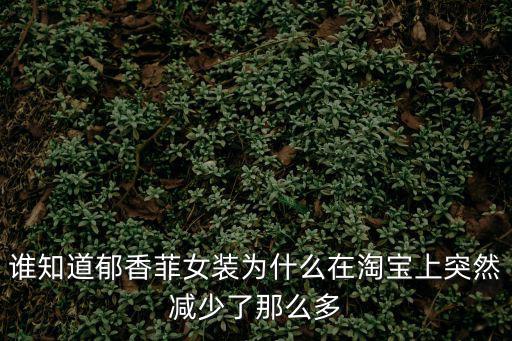 衣香麗影秋裝，衣香麗影的衣服怎么樣了