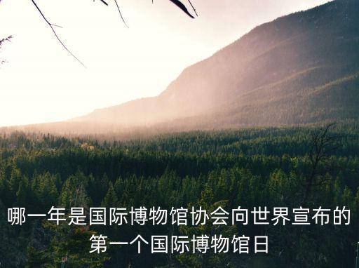 哪一年是國際博物館協會向世界宣布的第一個國際博物館日