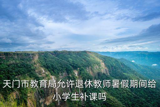 天門市教育局允許退休教師暑假期間給小學生補課嗎