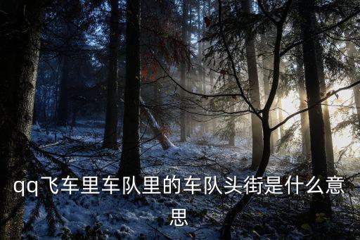 qq飛車里車隊里的車隊頭街是什么意思