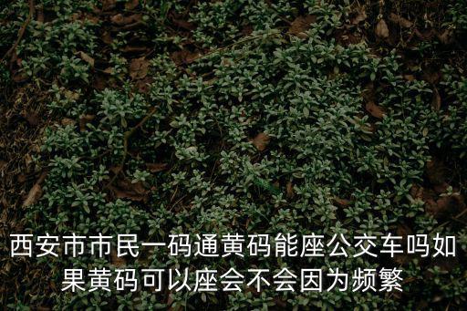 西安市市民一碼通黃碼能座公交車嗎如果黃碼可以座會不會因為頻繁