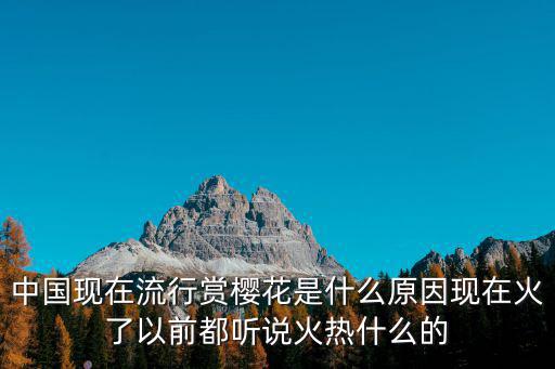 中國現在流行賞櫻花是什么原因現在火了以前都聽說火熱什么的