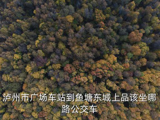 東城尚品，嘉興王店尚品公館怎么樣