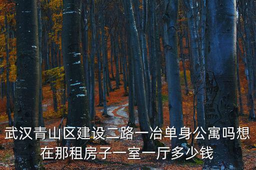 武漢青山區建設二路一冶單身公寓嗎想在那租房子一室一廳多少錢