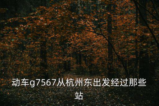 動車g7567從杭州東出發經過那些站
