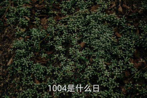 1004，1004讀作