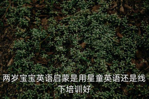 兩歲寶寶英語啟蒙是用星童英語還是線下培訓好