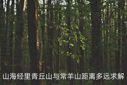 山海經里青丘山與常羊山距離多遠求解