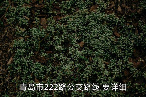 青島市222路公交路線 要詳細(xì)