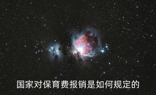 保育費，國家對保育費報銷是如何規定的