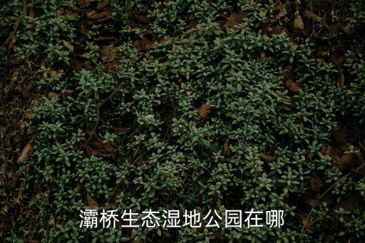 灞橋生態濕地公園在哪