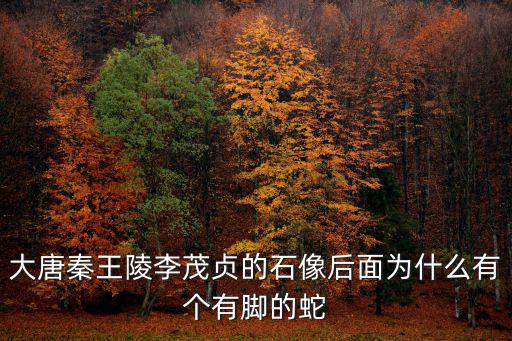 大唐秦王陵李茂貞的石像后面為什么有個有腳的蛇