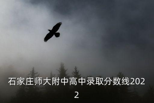 石家莊師大附中高中錄取分數線2022