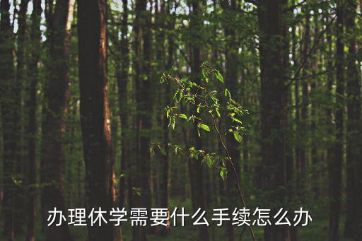 辦理休學需要什么手續怎么辦