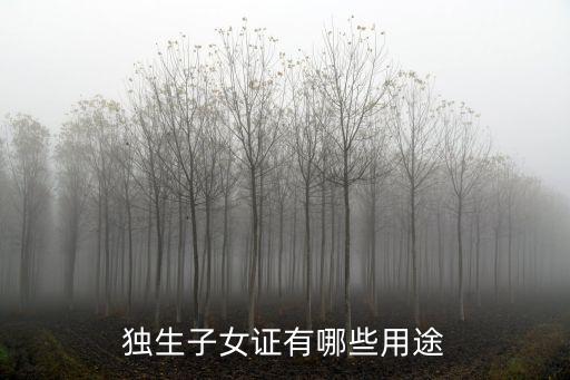 獨生子女證有哪些用途