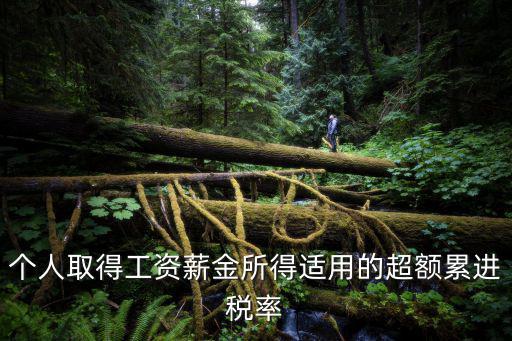 7級超額累進稅率，超額累進個人所得稅稅率表