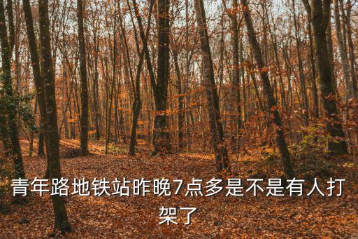 青年路地鐵站昨晚7點多是不是有人打架了