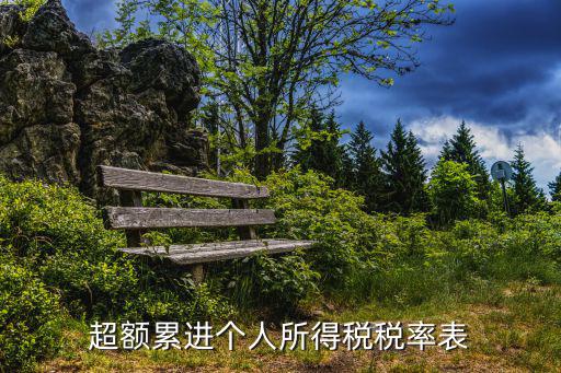 超額累進個人所得稅稅率表