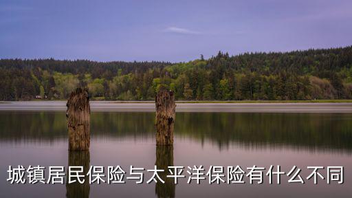 居民保險(xiǎn)，城鄉(xiāng)居民養(yǎng)老保險(xiǎn)要怎樣買