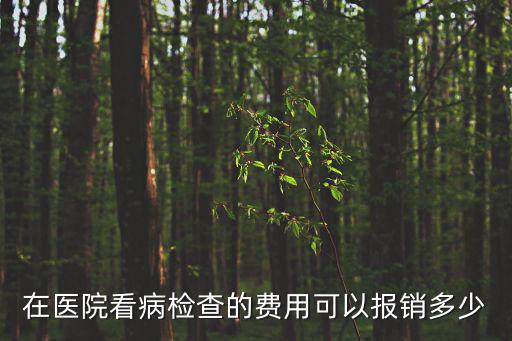 檢查費(fèi)用醫(yī)保可以報(bào)銷(xiāo)嗎，各位大神在醫(yī)院做個(gè)全面檢查大概需要多少費(fèi)用醫(yī)保可以報(bào)銷(xiāo)嗎