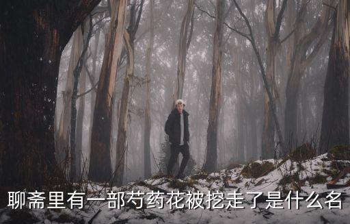 聊齋里有一部芍藥花被挖走了是什么名