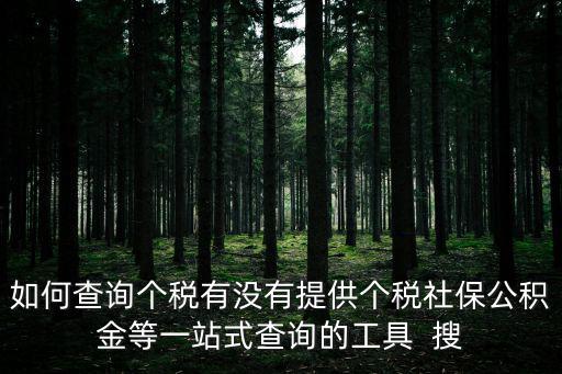 如何查詢個稅有沒有提供個稅社保公積金等一站式查詢的工具  搜