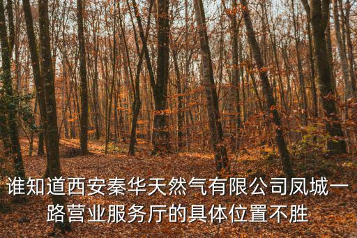誰知道西安秦華天然氣有限公司鳳城一路營業(yè)服務廳的具體位置不勝