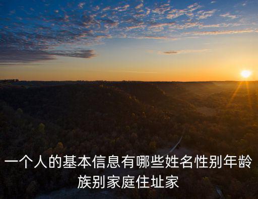 基本信息包括哪些，一個人的基本信息有哪些姓名性別年齡族別家庭住址家