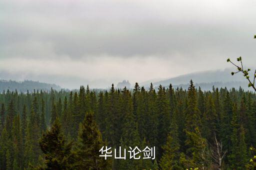 華山論劍