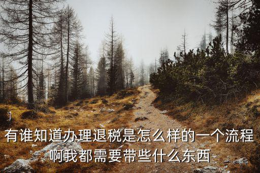 有誰知道辦理退稅是怎么樣的一個(gè)流程啊我都需要帶些什么東西