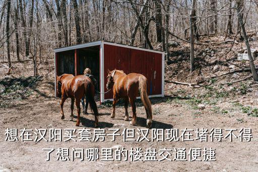 想在漢陽買套房子但漢陽現(xiàn)在堵得不得了想問哪里的樓盤交通便捷