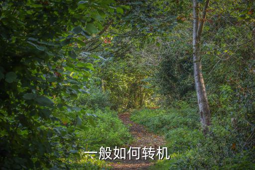 一般如何轉(zhuǎn)機(jī)