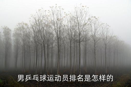 男籃亞洲杯名單，女排運動員燕妮的個人資料